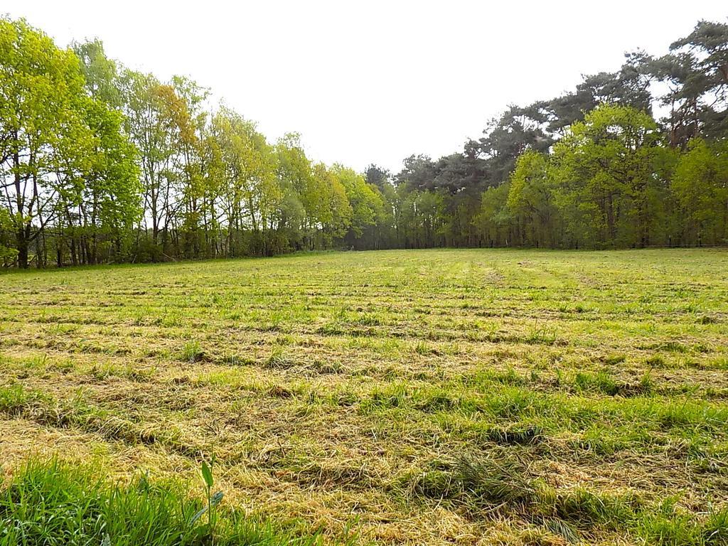 Verblijfpark De Brem Lille Exteriér fotografie