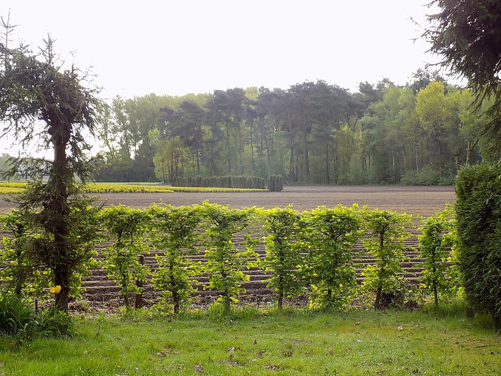 Verblijfpark De Brem Lille Exteriér fotografie